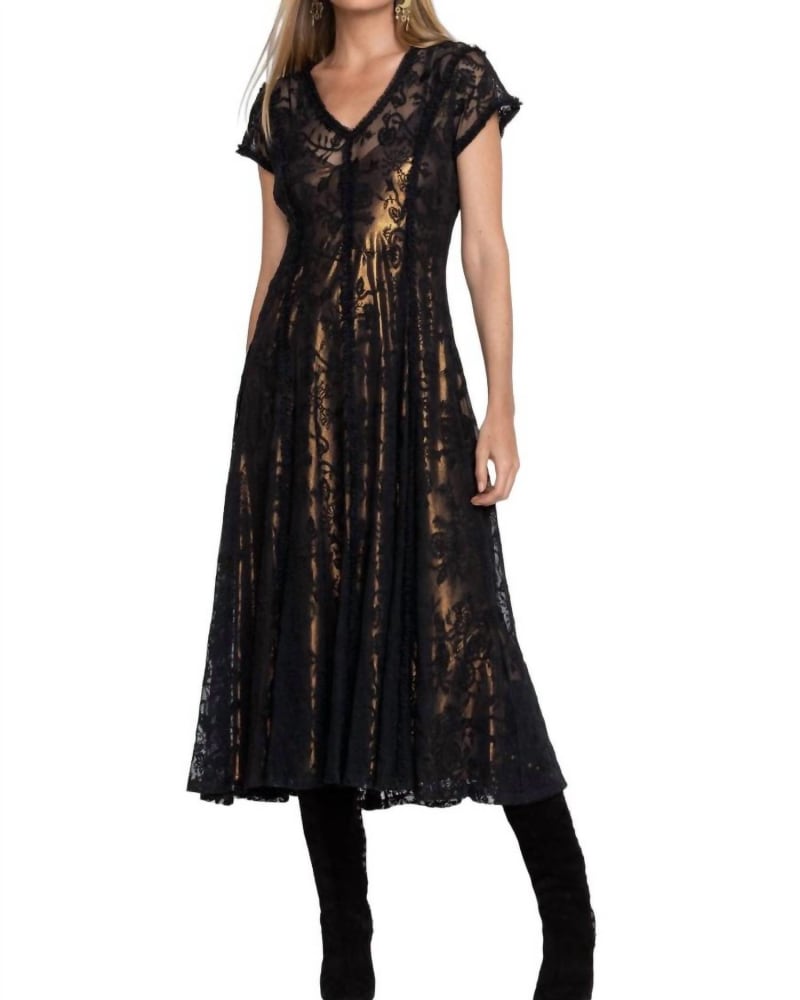 Front of a model wearing a size XL Dina Mesh Midi Dress in Black in Black by Johnny Was. | dia_product_style_image_id:337749